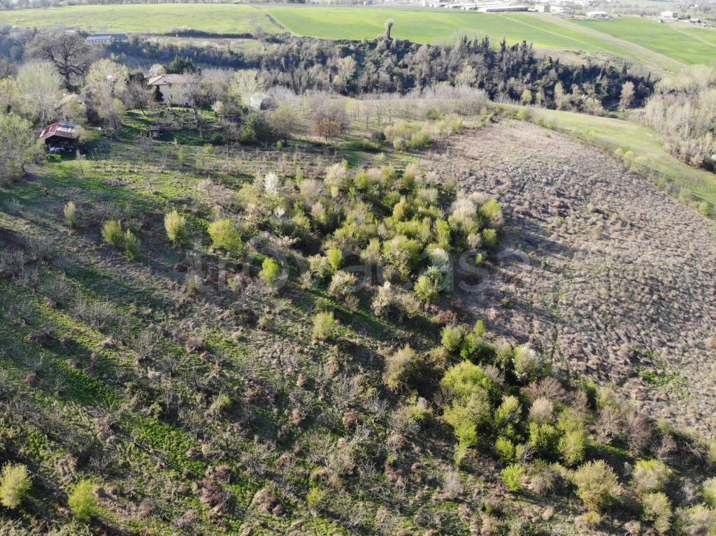 immagine annuncio 4 di 7