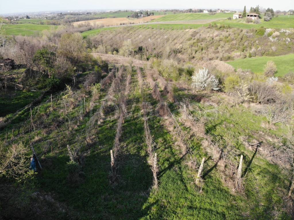 immagine annuncio 5 di 7