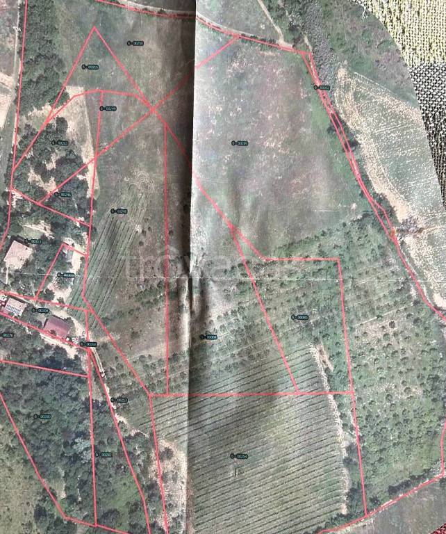 immagine annuncio 6 di 7