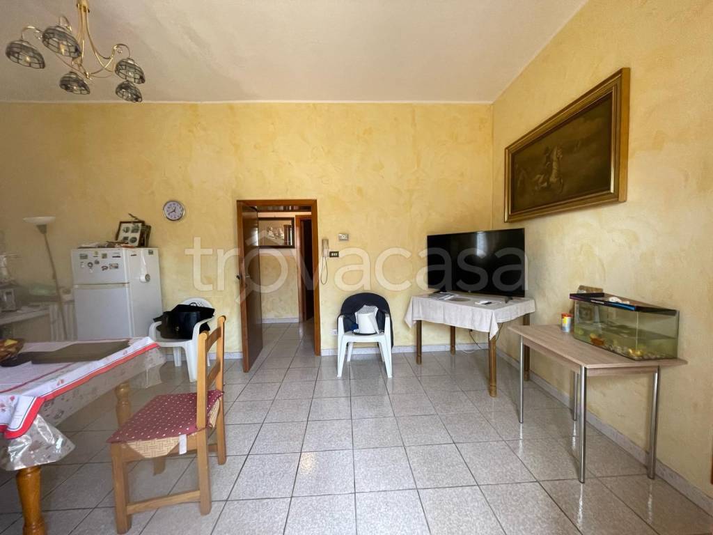 immagine annuncio 3 di 14