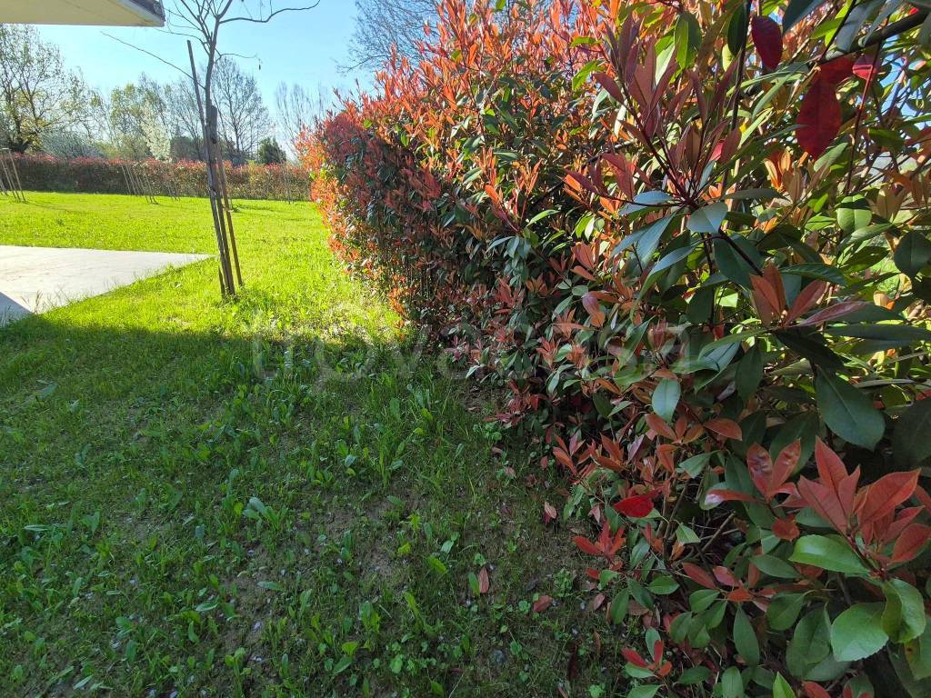 immagine annuncio 3 di 13