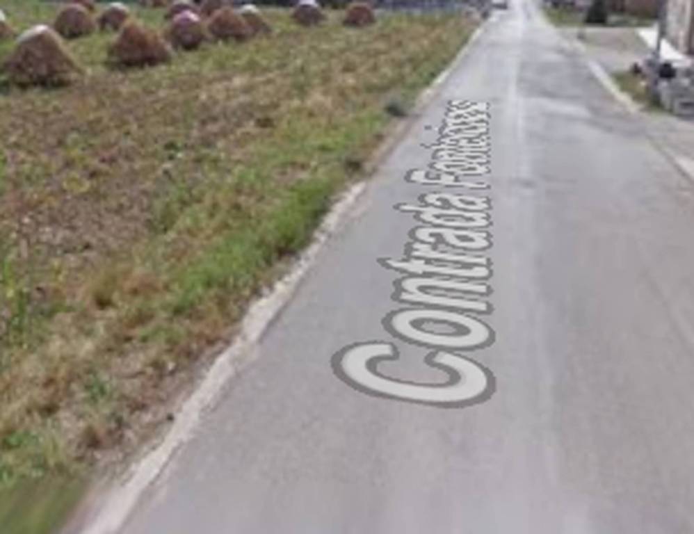 immagine annuncio 2 di 11