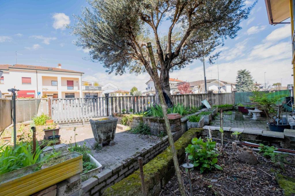 immagine annuncio 9 di 15