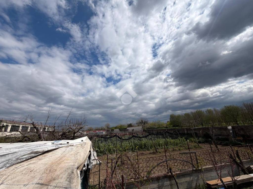 immagine annuncio 2 di 14