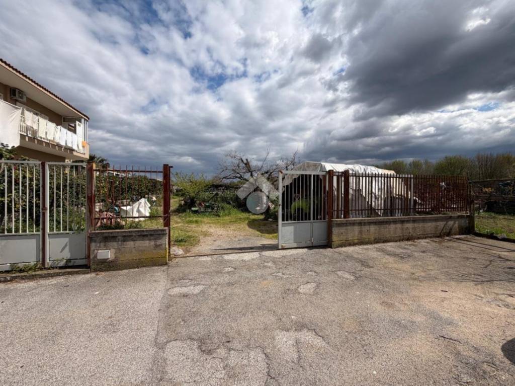 immagine annuncio 4 di 14