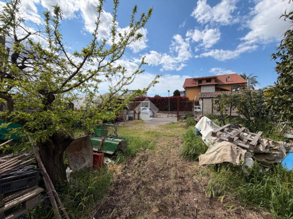 immagine annuncio 5 di 14