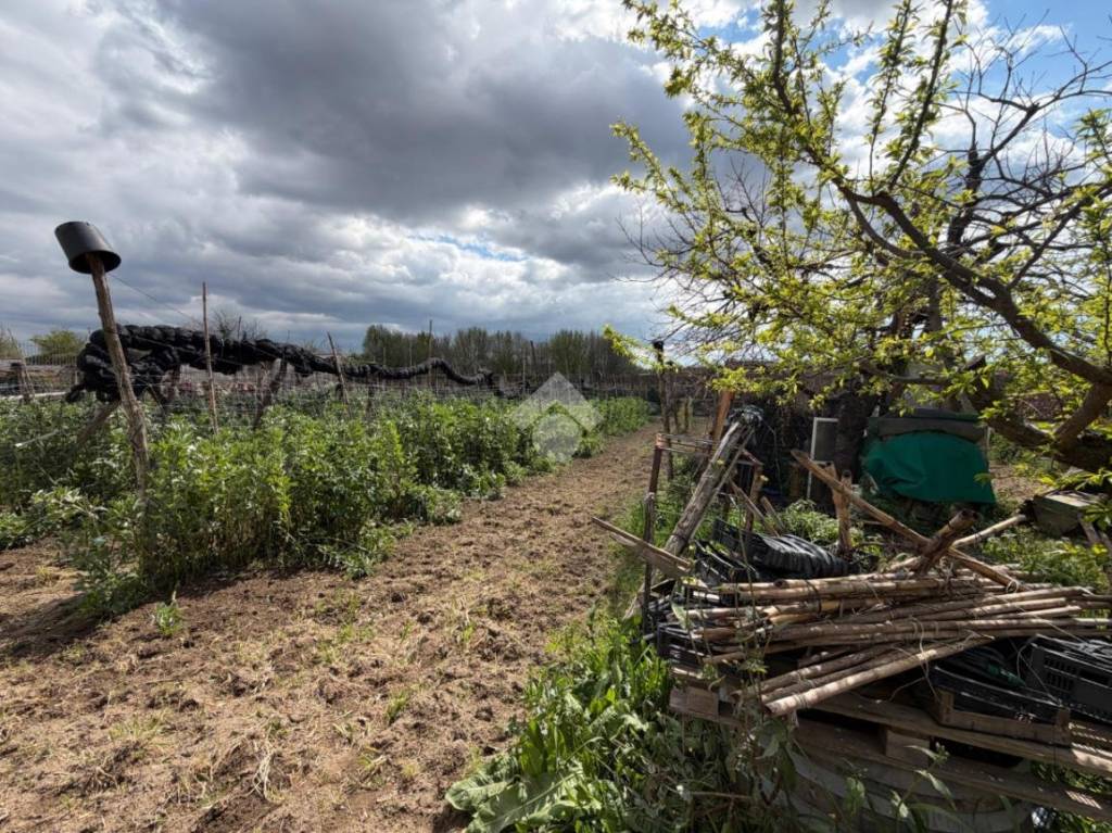 immagine annuncio 6 di 14