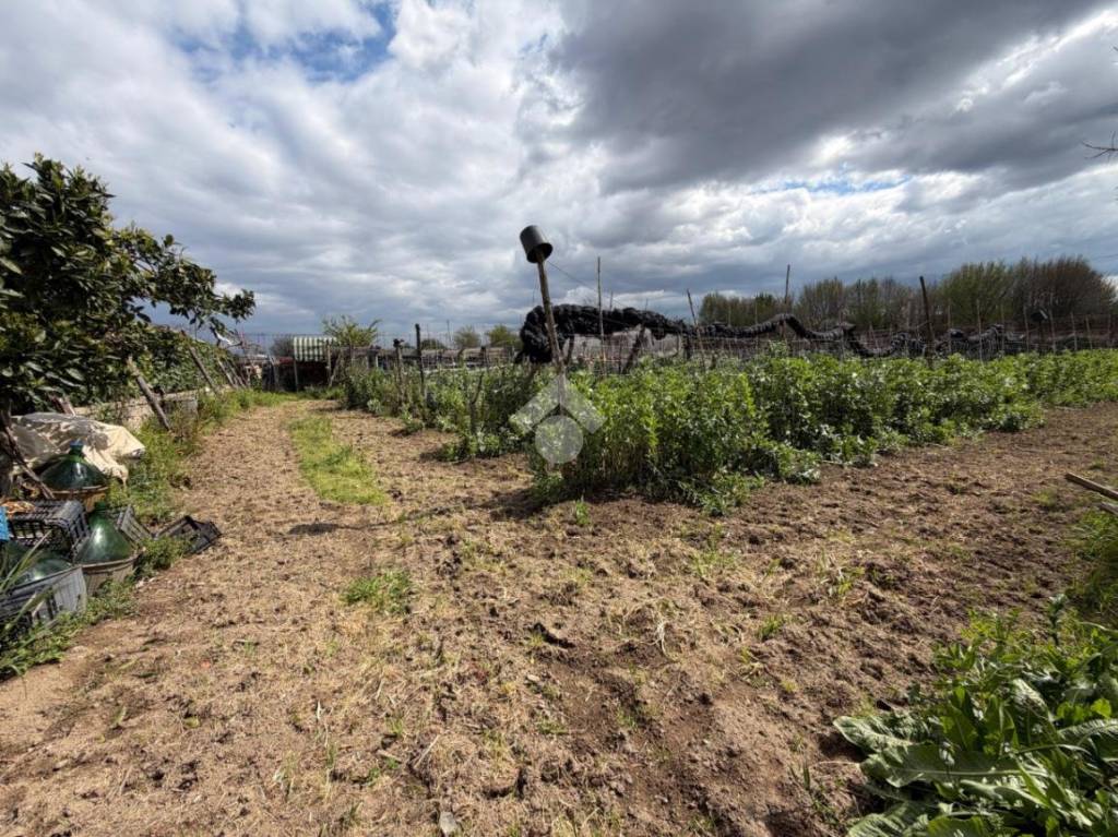 immagine annuncio 7 di 14