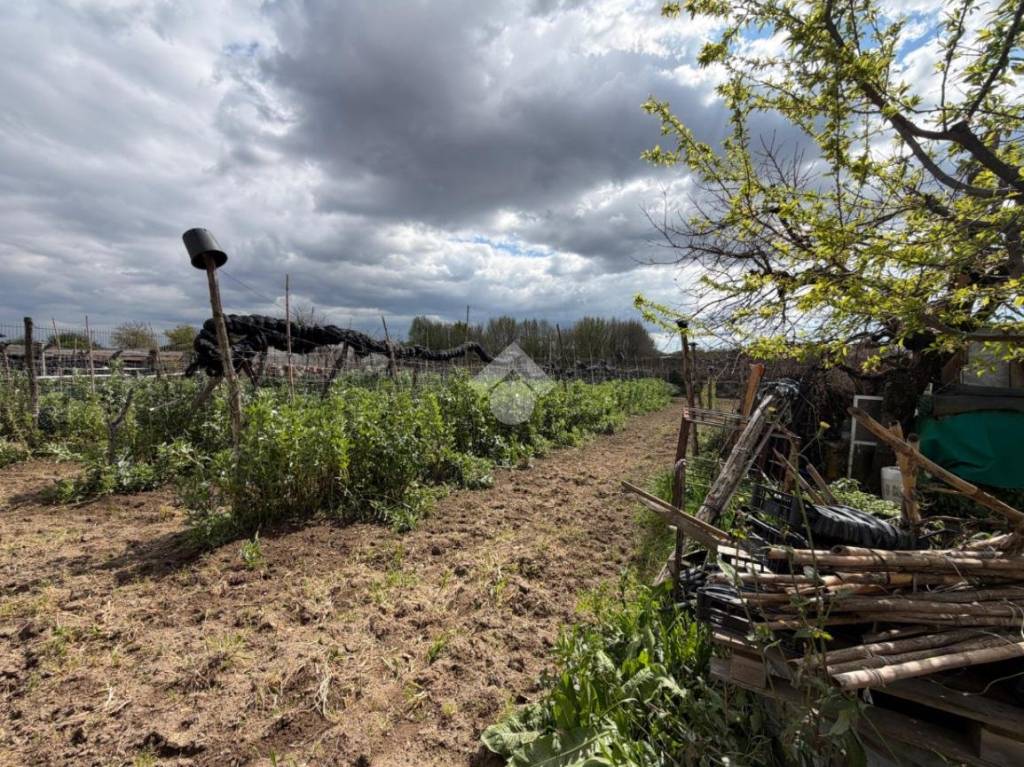 immagine annuncio 8 di 14