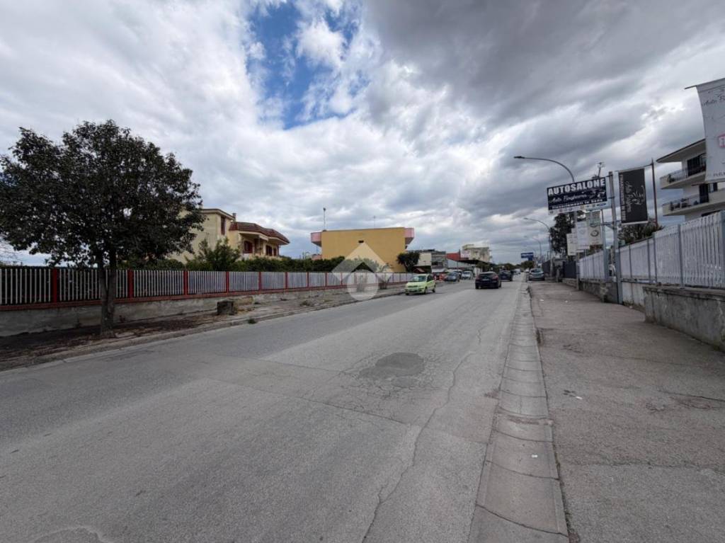 immagine annuncio 10 di 14