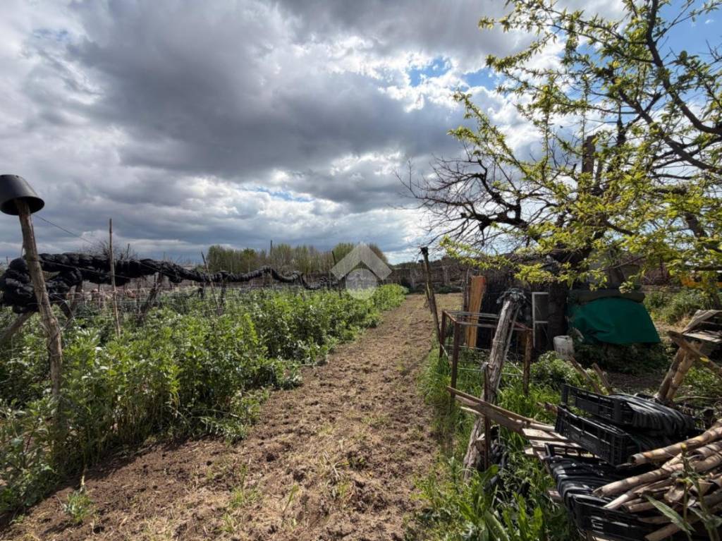 immagine annuncio 11 di 14