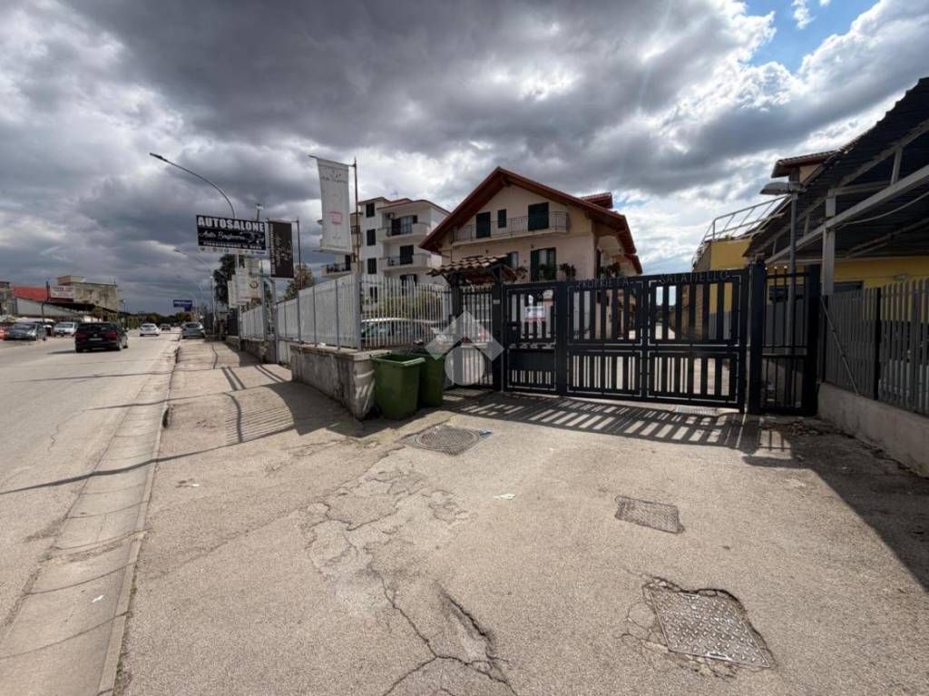 immagine annuncio 12 di 14