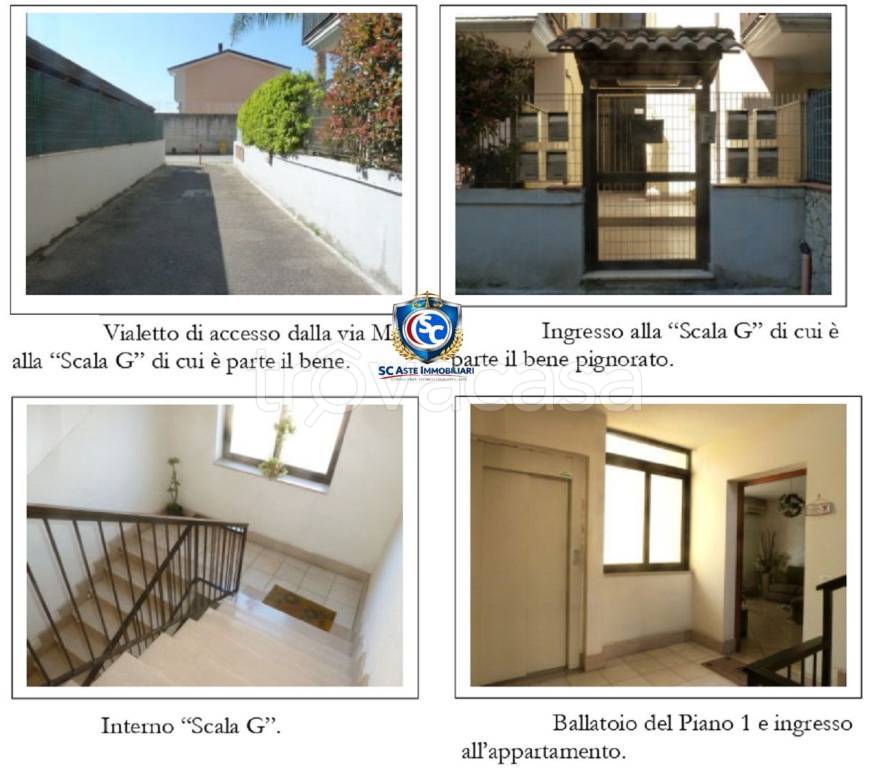 immagine annuncio 2 di 12