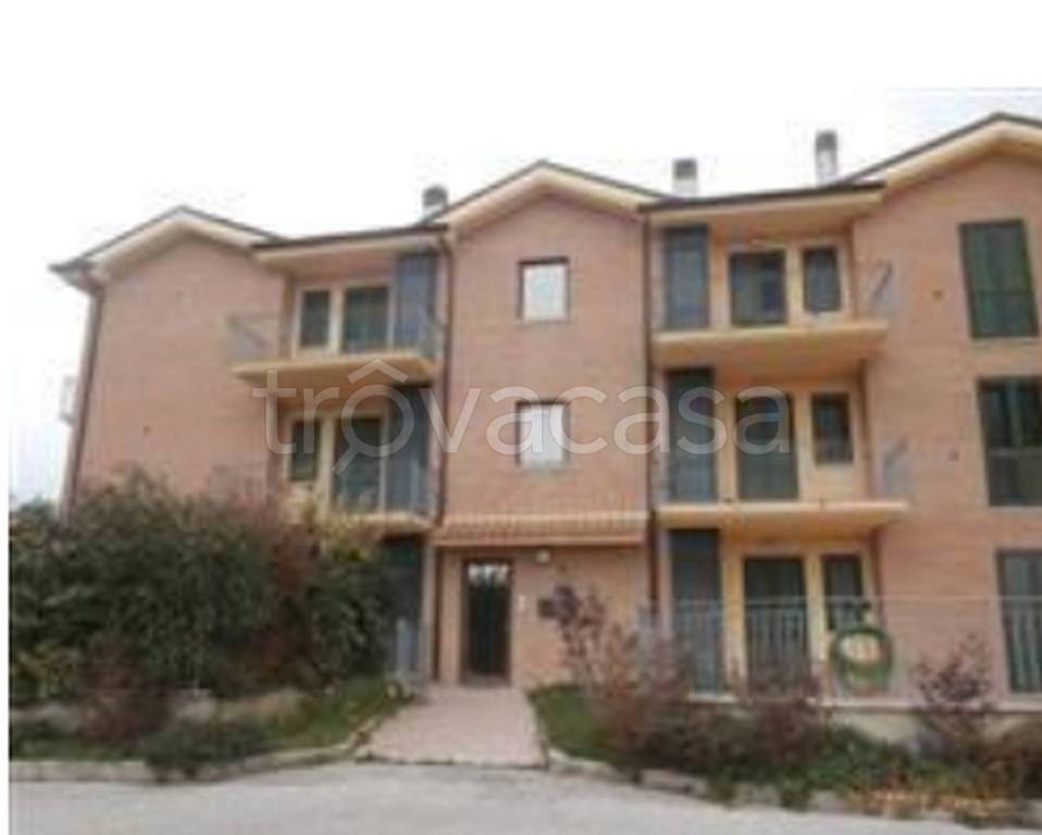 immagine annuncio 3 di 11