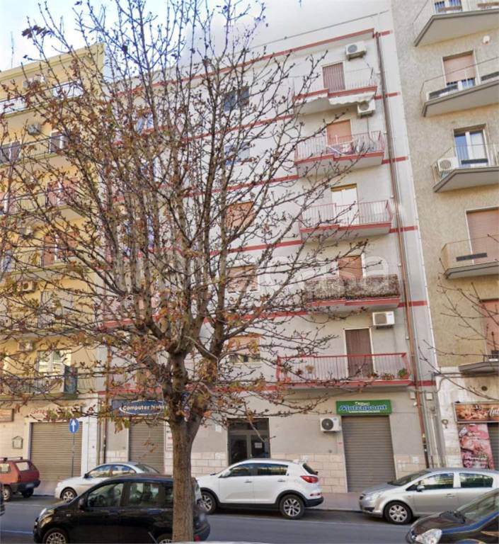 immagine annuncio 7 di 13