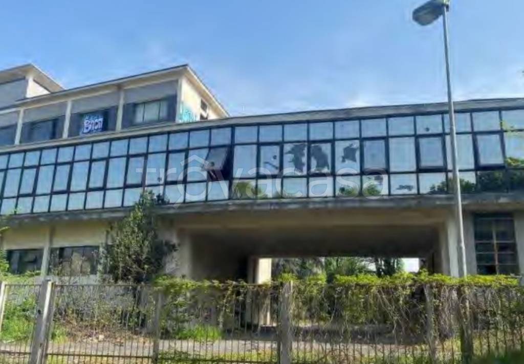 immagine annuncio 6 di 14