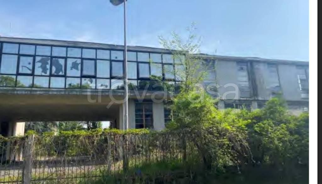 immagine annuncio 7 di 14