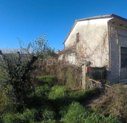 immagine annuncio 2 di 8