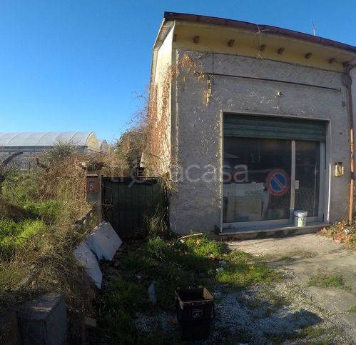 immagine annuncio 3 di 8