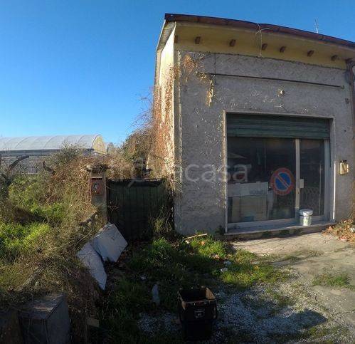 immagine annuncio 4 di 8