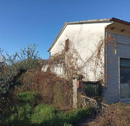 immagine annuncio 5 di 8