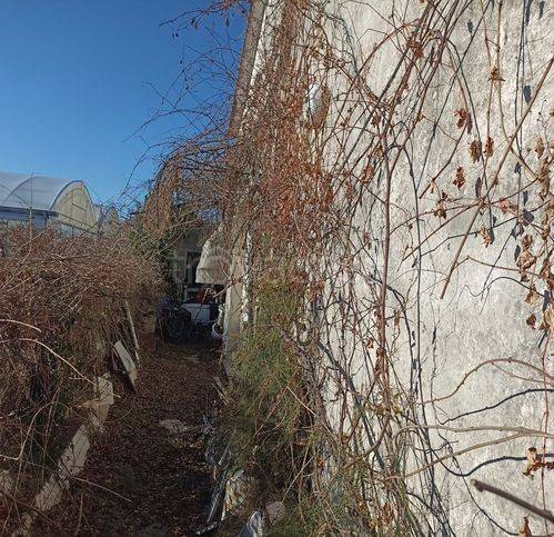 immagine annuncio 6 di 8