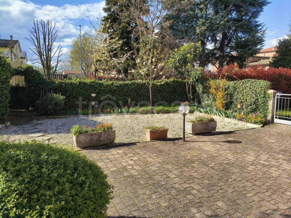 immagine annuncio 11 di 15