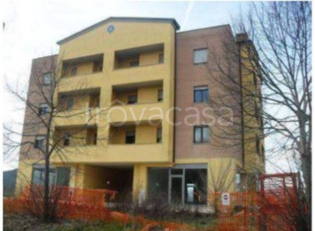 immagine annuncio 7 di 11