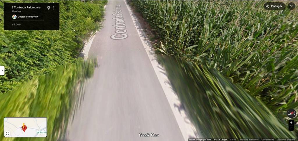 immagine annuncio 6 di 11