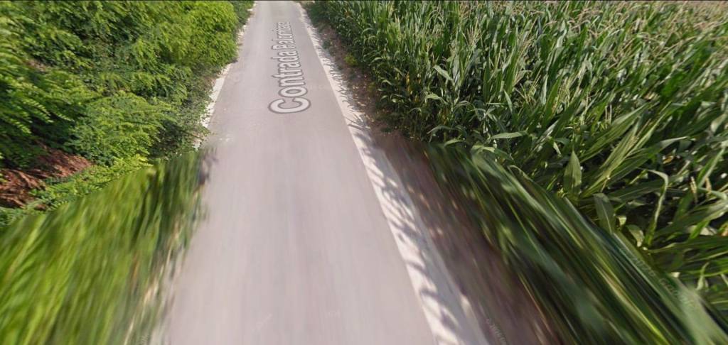 immagine annuncio 7 di 11