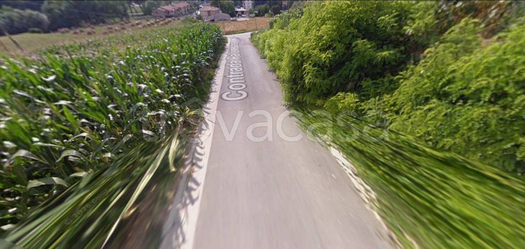 immagine annuncio 10 di 11