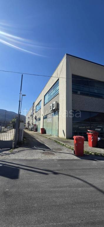 immagine annuncio 3 di 4