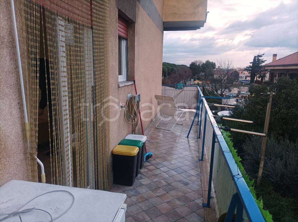 immagine annuncio 12 di 14