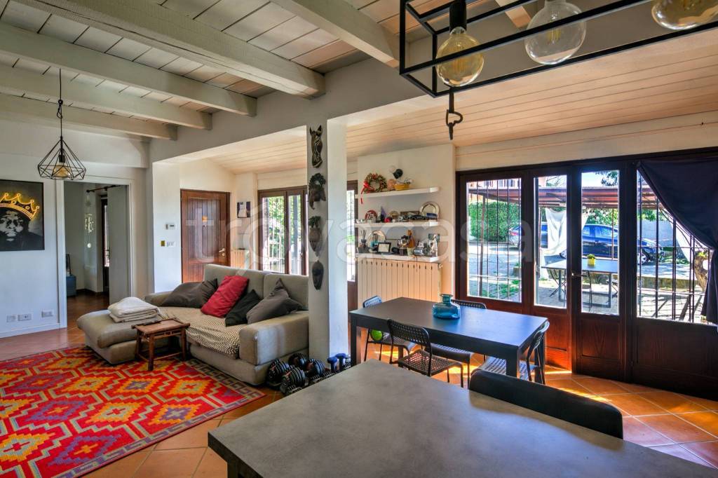 immagine annuncio 9 di 15