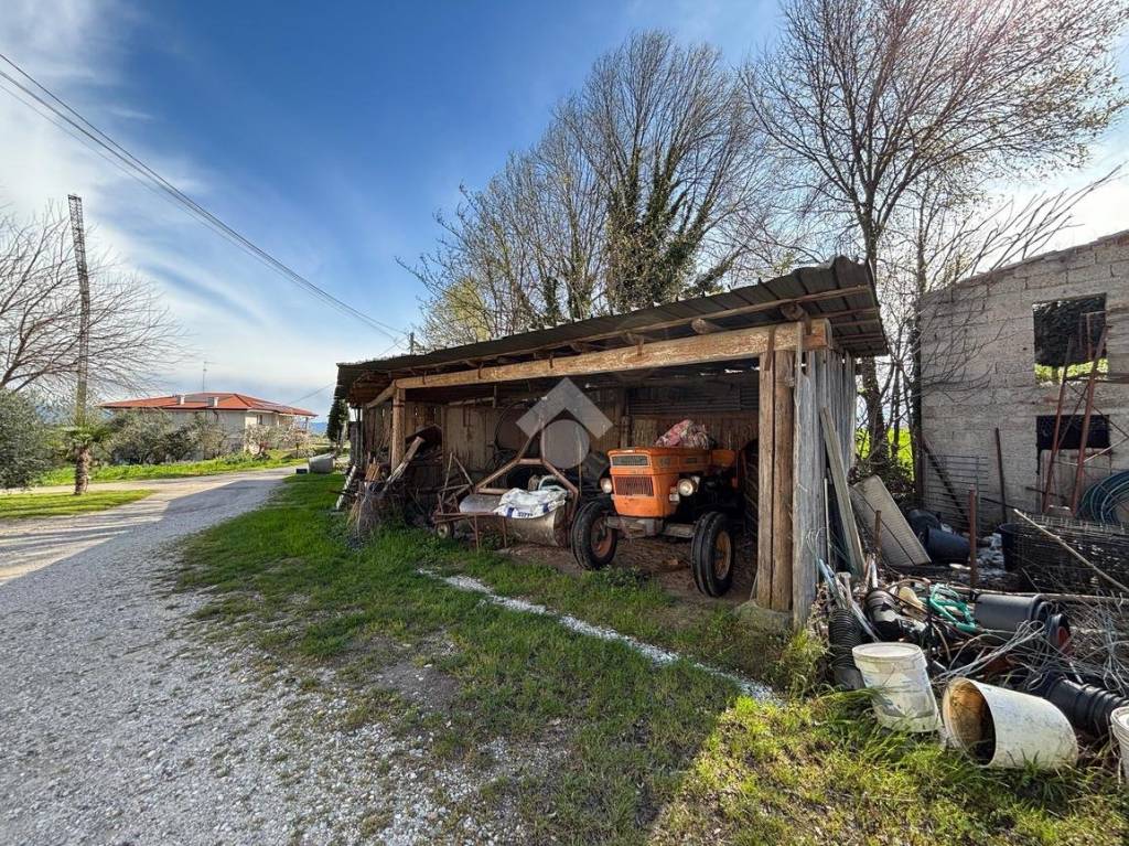 immagine annuncio 12 di 15