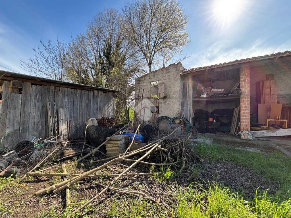 immagine annuncio 13 di 15