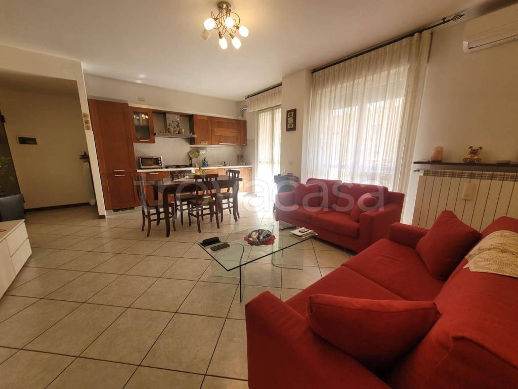 immagine annuncio 1 di 12