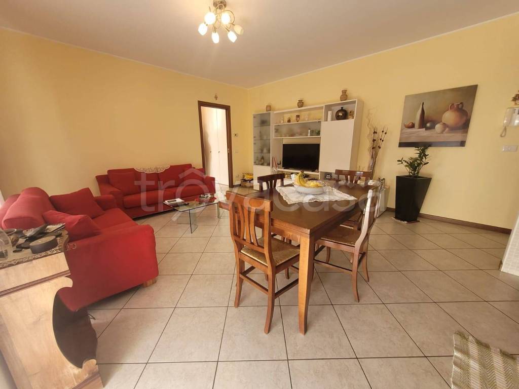 immagine annuncio 3 di 12