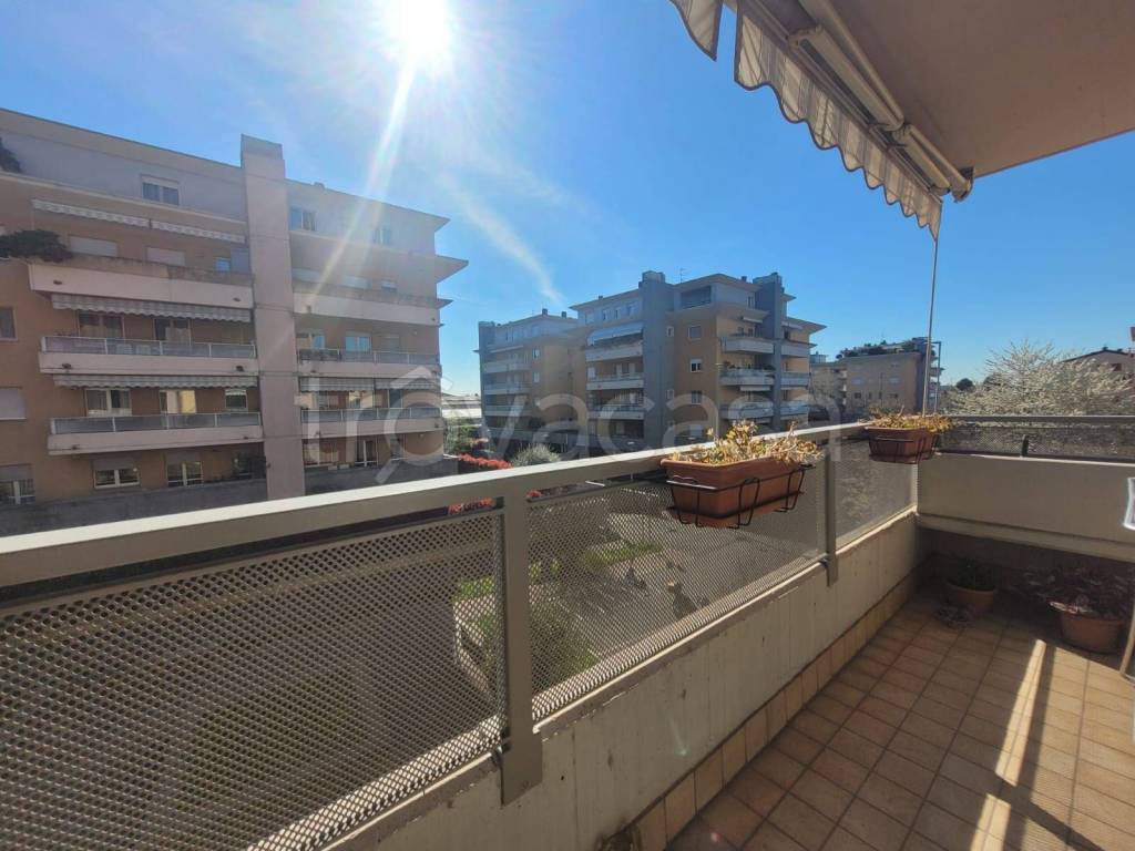 immagine annuncio 10 di 12