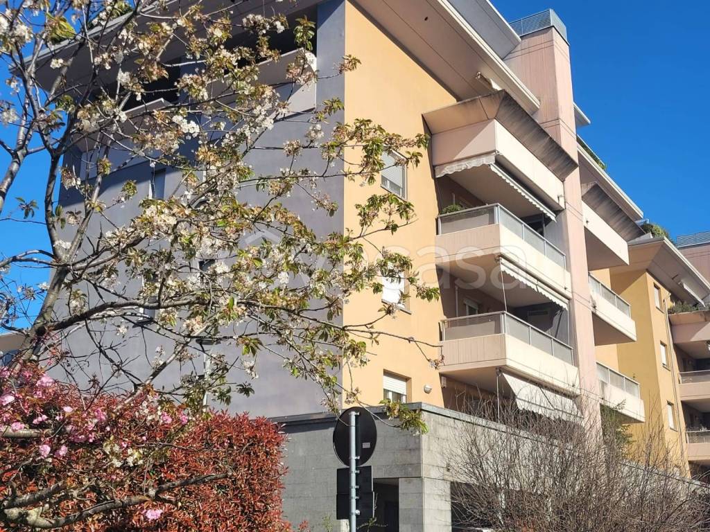 immagine annuncio 11 di 12