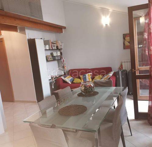 immagine annuncio 3 di 12