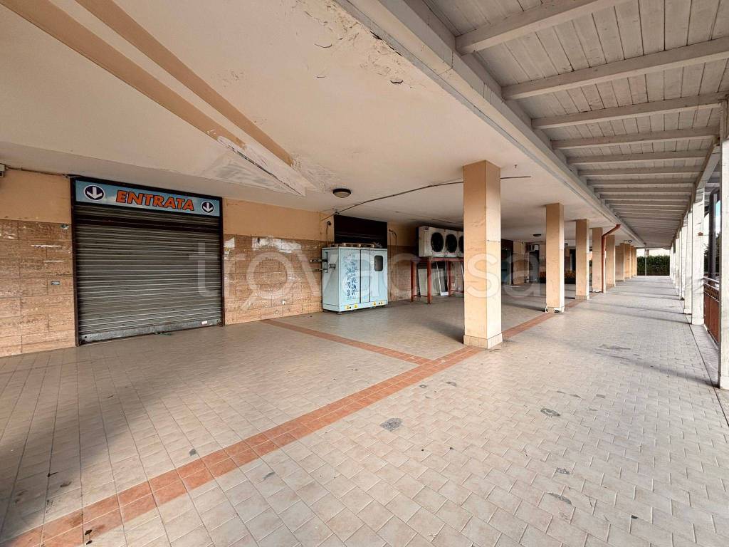 immagine annuncio 2 di 8