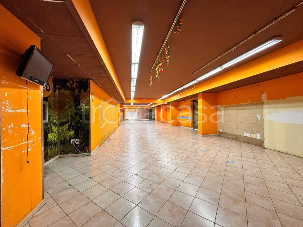 immagine annuncio 4 di 8