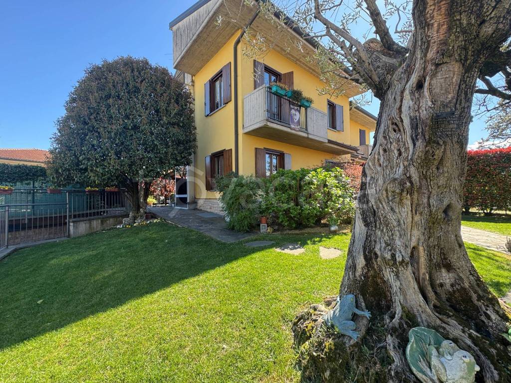 immagine annuncio 1 di 15