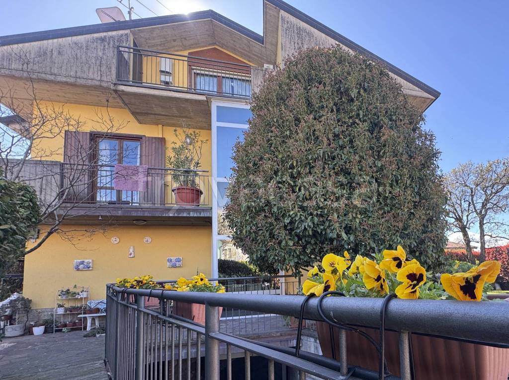 immagine annuncio 5 di 15