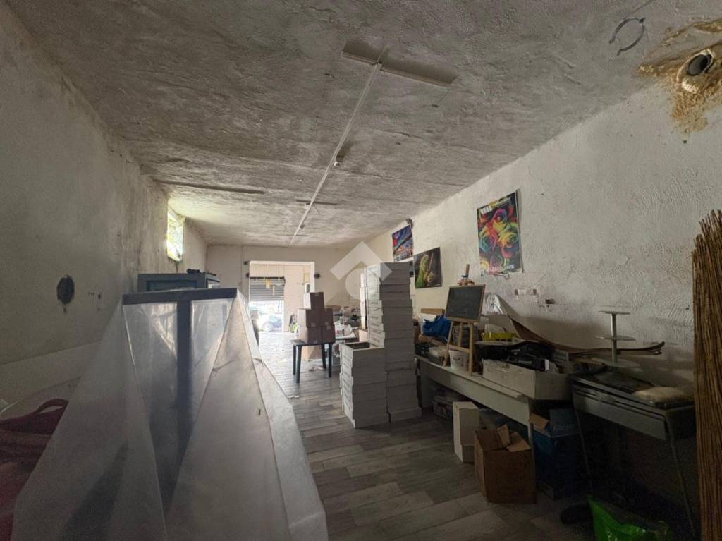 immagine annuncio 3 di 12