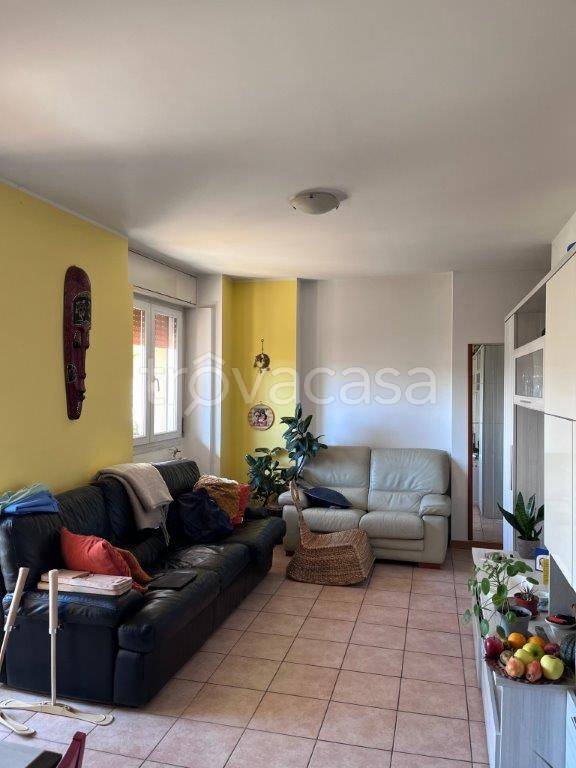 immagine annuncio 2 di 14