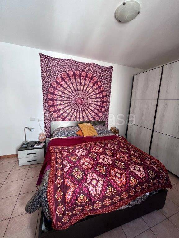 immagine annuncio 11 di 14