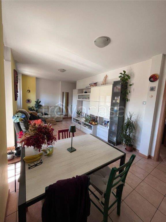 immagine annuncio 12 di 14