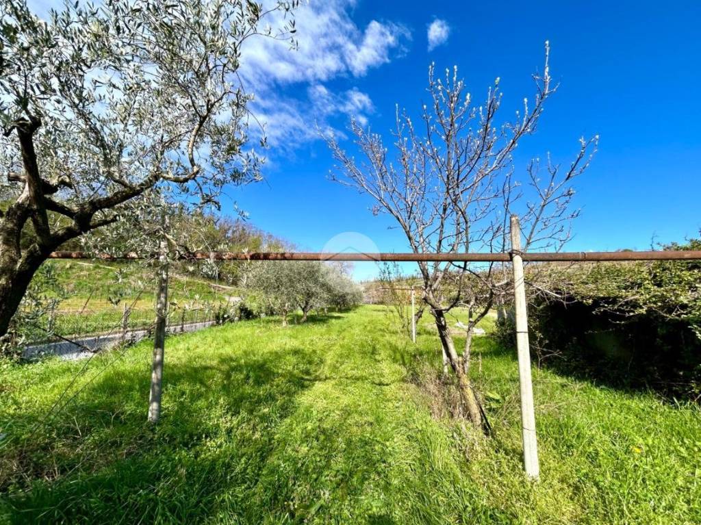 immagine annuncio 2 di 9